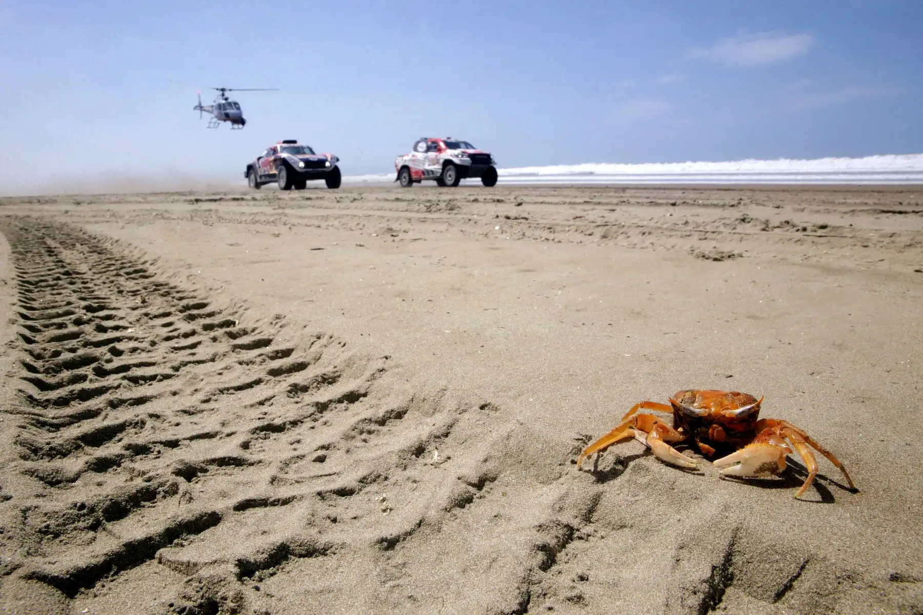 Las mejores imágenes del Dakar 2019.  Foto: ANDINA/Luis Iparraguirre