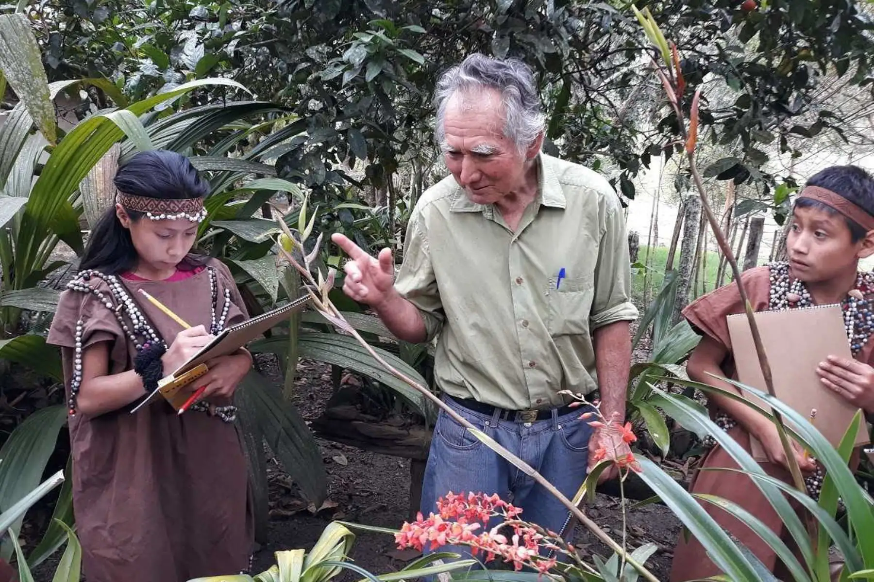 Pensión 65: Máximo Acosta es un adulto mayor convertido en “Señor de las orquídeas” en Oxapampa.