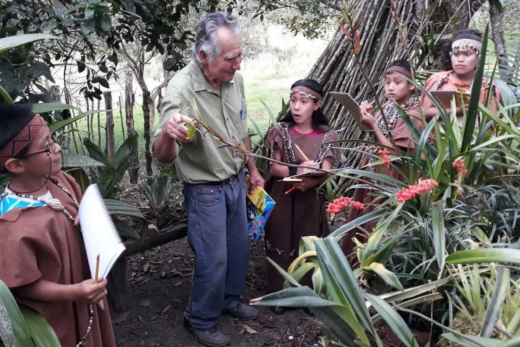 Don Máximo Acosta Ciriaco, un usuario del programa Pensión 65, ha rescatado 170 especies de orquídeas en Oxapampa. Foto: ANDINA/Difusión.