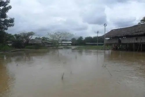 El Instituto Nacional de Defensa Civil (Indeci) informó que, según el Servicio Nacional de Meteorología e Hidrología (Senamhi), los ríos Marañón, Huallaga y Ucayali aumentaron su caudal debido a las lluvias y han alcanzado niveles de alerta roja, por lo que podría haber desbordes e inundaciones en las provincias del departamento de Loreto. ANDINA/Difusión