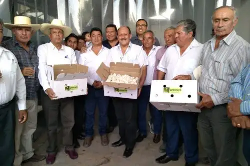 El ajo arequipeño es la sensación en los mercados de Brasil. ANDINA