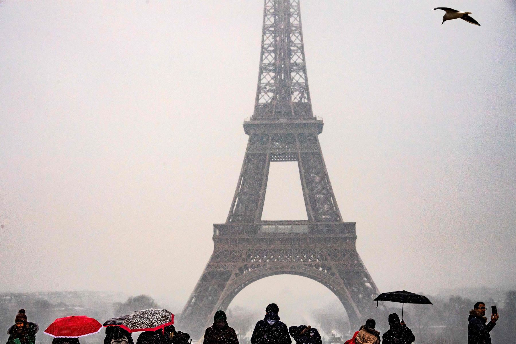 La gente se queda mirando la Torre Eiffel mientras caen nevadas en la capital francesa Foto: AFP