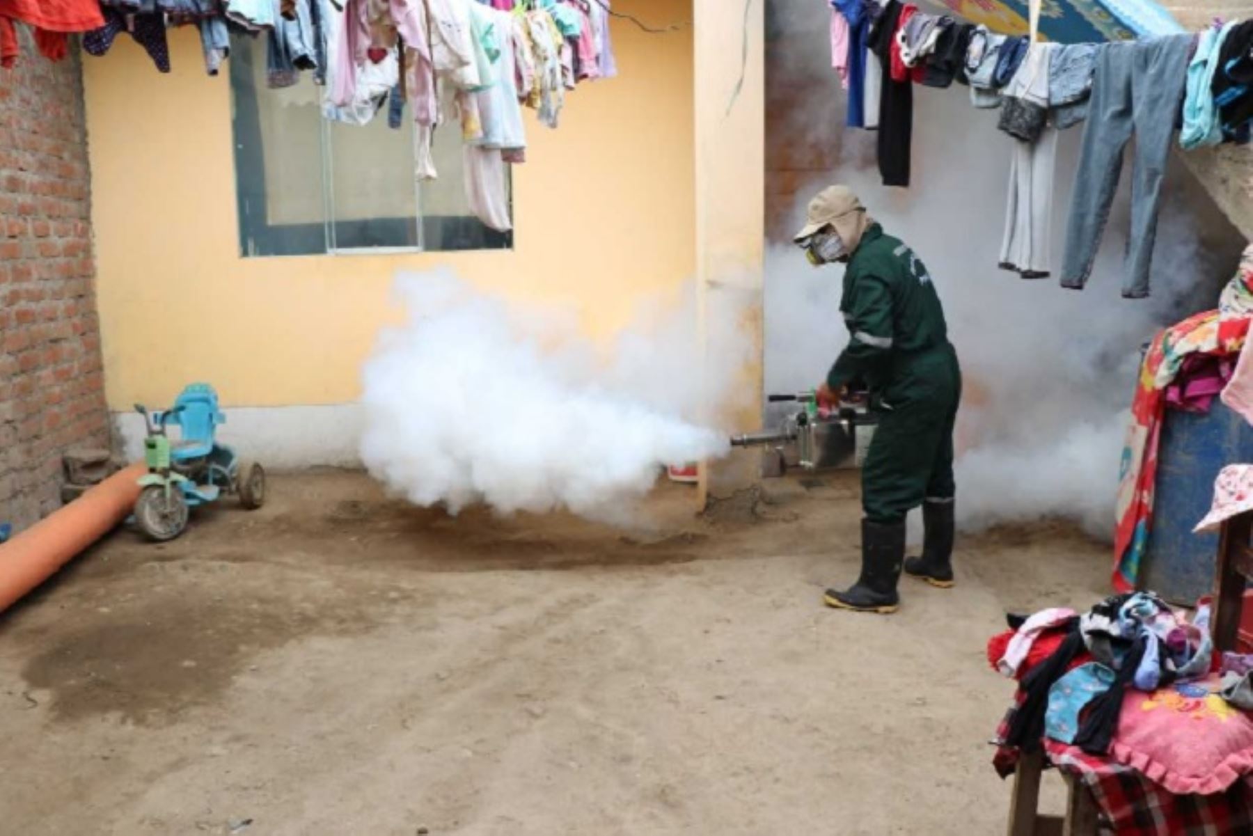 Brigadas de salud fumigaron alrededor de 700 viviendas en el distrito de Paiján, provincia de Ascope, región La Libertad, con el objetivo de controlar al zancudo vector del dengue.