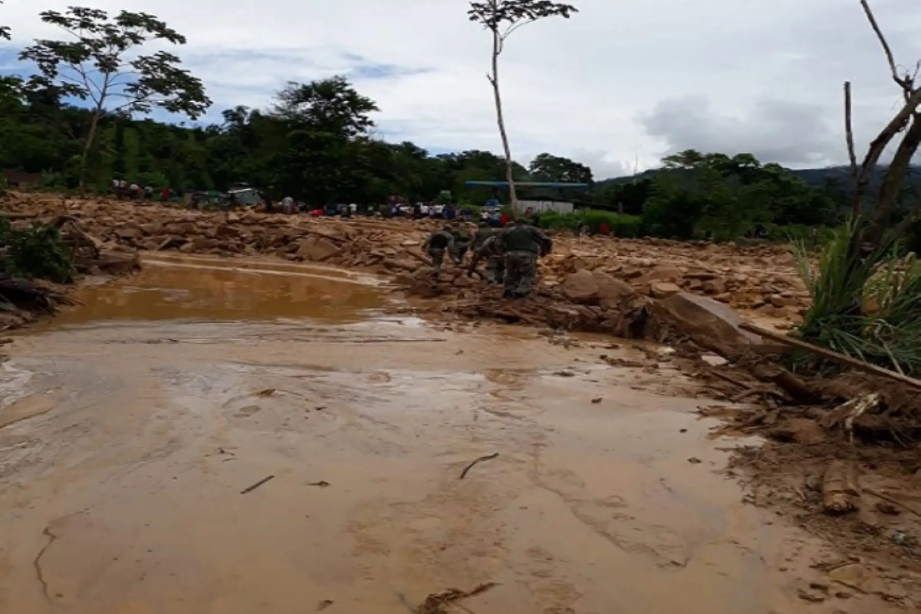 Foto: ANDINA/Difusión.