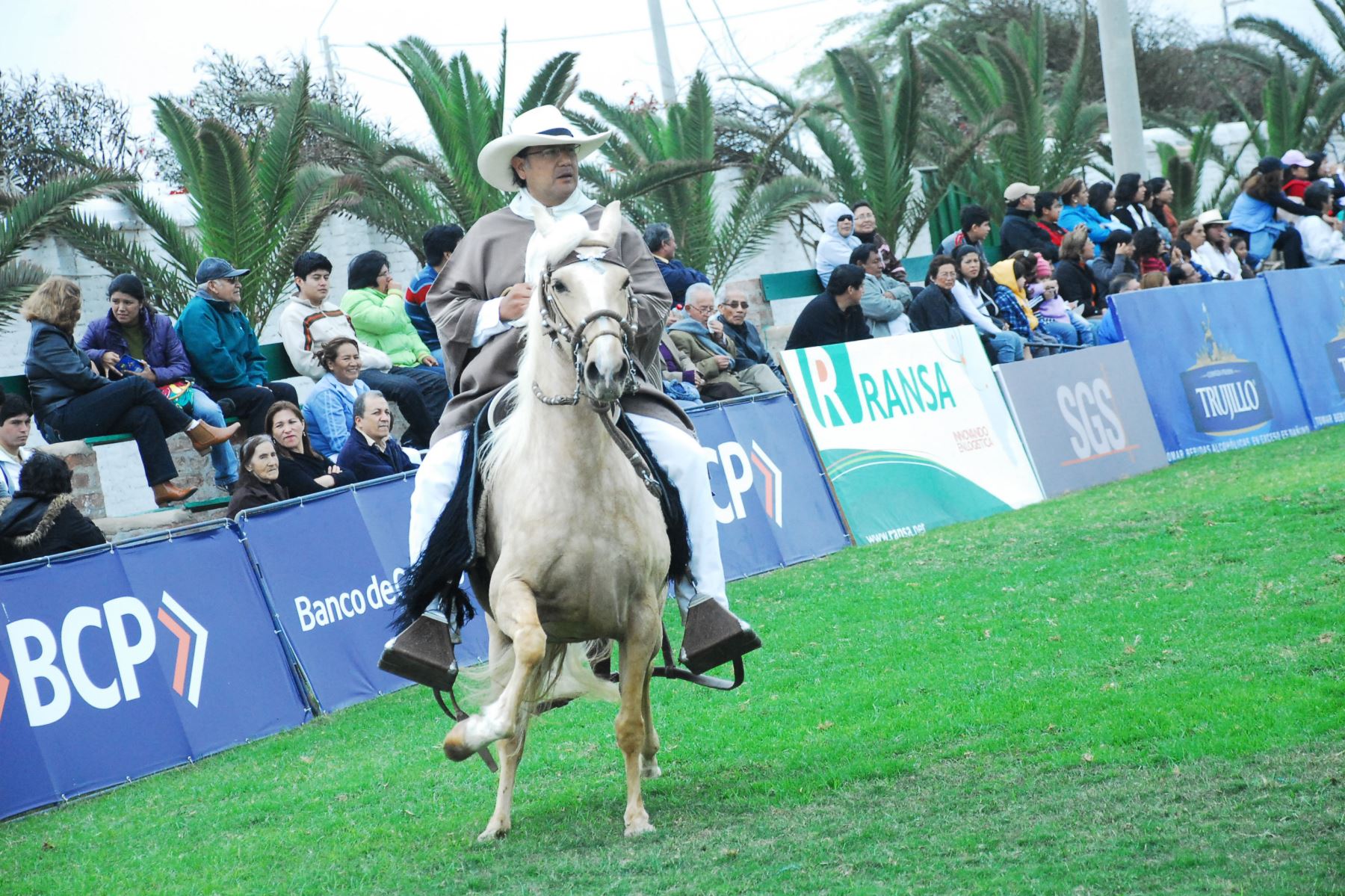 Trujillo celebra Concurso de Caballos Peruanos de Paso. ANDINA
