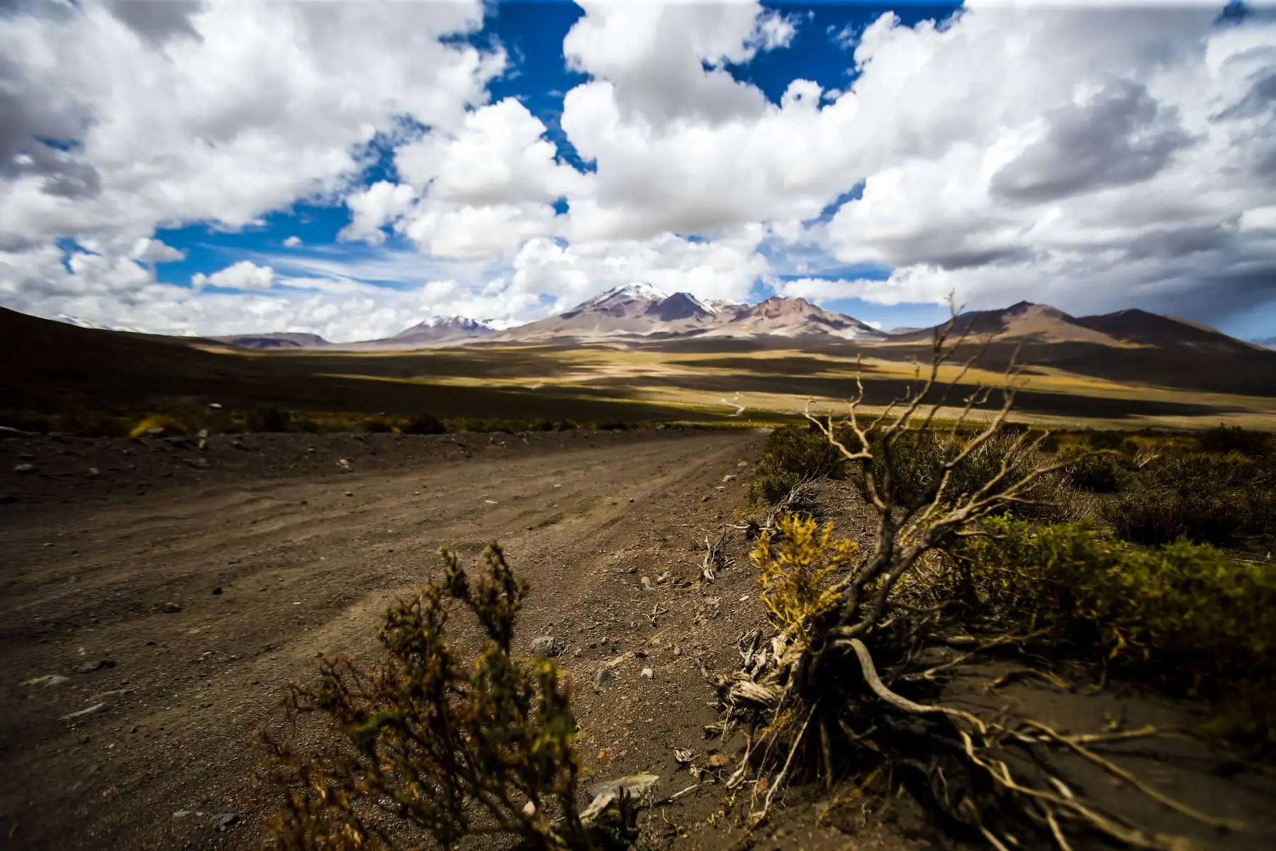 Chile y Bolivia mantienen una disputa sobre la naturaleza de este cauce del desierto de Atacama, que desciende 4.350 metros desde un volcán en Bolivia. EFE/Alberto Peña