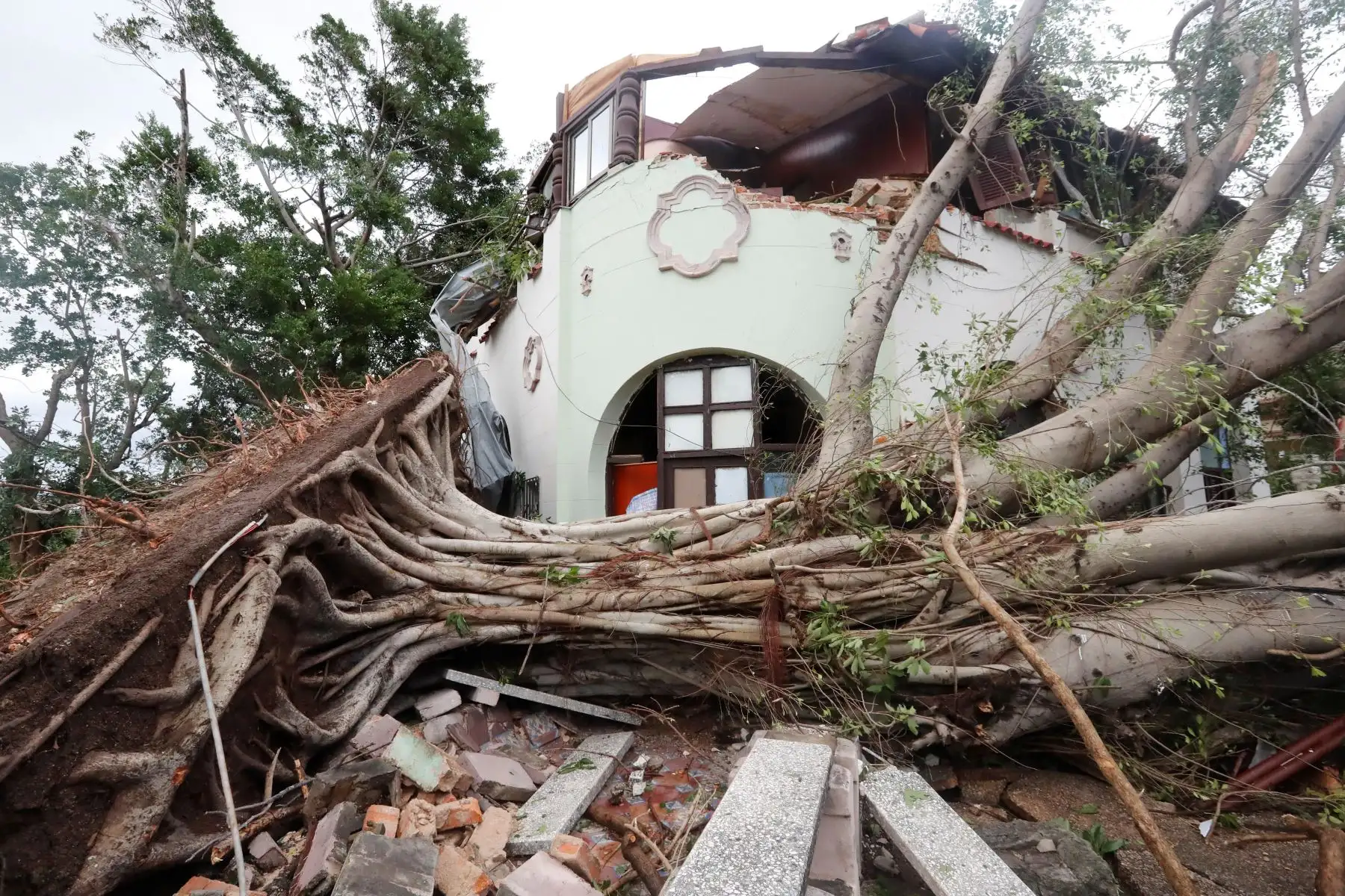 Fotografía de una vivienda afectada por la caída de árboles tras el paso de un tornado en La Habana (Cuba). Al menos tres personas han muerto y 172 han resultado heridas por un tornado que azotó esta madrugada la barriada de Regla, en La Habana. EFE/Ernesto Mastrascusa