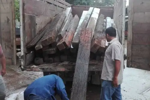 Incautan madera ilegal procedente de Bosque de Protección Alto Mayo, en región San Martín. ANDINA/Difusión