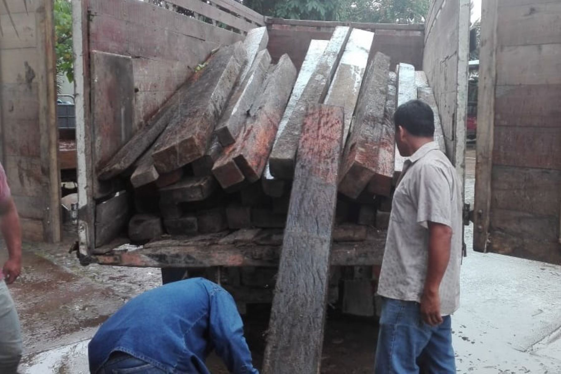 Incautan madera ilegal procedente de Bosque de Protección Alto Mayo, en región San Martín. ANDINA/Difusión