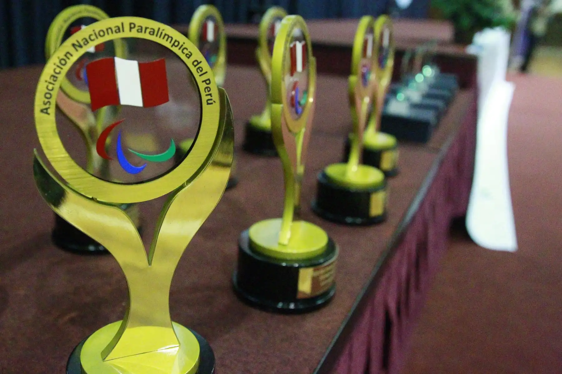 Asociación Nacional Paraolímpica del Perú realizó la ceremonia de Premiación  a deportistas destacados a nivel nacional. Foto: ANDINA/Eddy Ramos