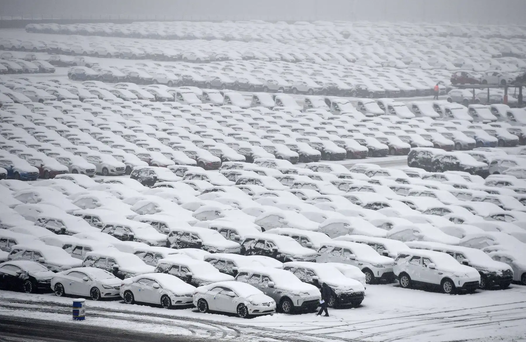 Autos nuevos cubiertos de nieve almacenados en un estacionamiento gigante en la terminal del Operador Internacional de Autos (ICO) en Zeebrugge (Foto por EMMANUEL DUNAND / AFP)