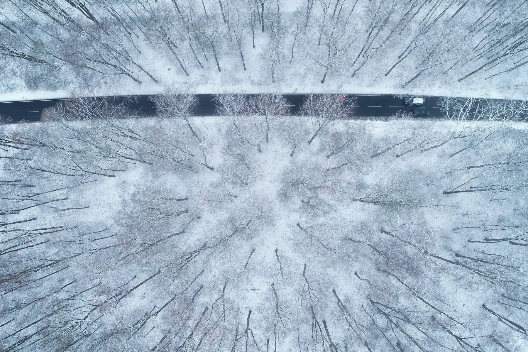Una vista aérea muestra los autos que conducen en una calle en un bosque cubierto de nieve cerca de Colonia (Foto por Henning Kaiser / dpa / AFP) / Alemania OUT

Foto: AFP