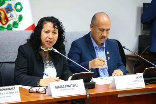 Congresista Luz Cruz Tévez, bancada Alianza para el Progreso