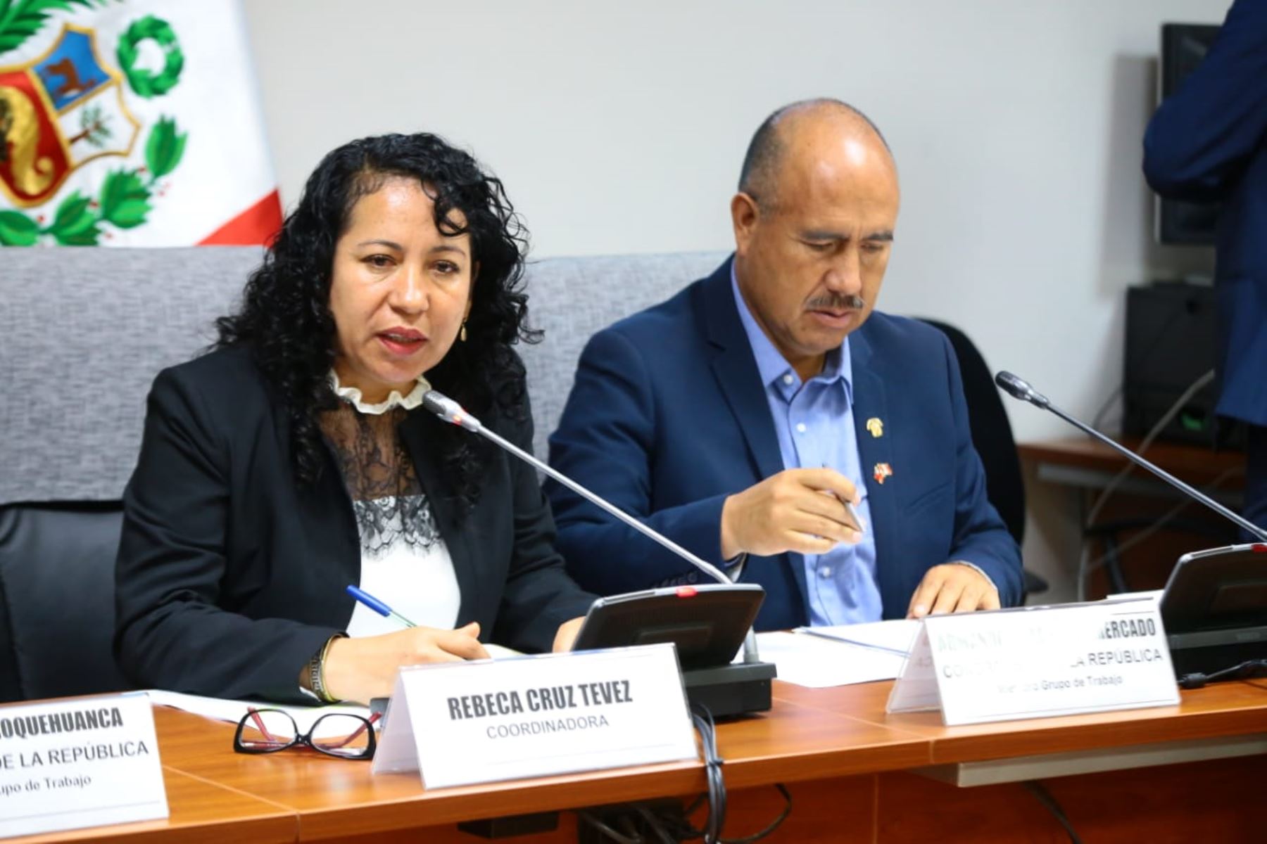 Congresista Luz Cruz Tévez, bancada Alianza para el Progreso