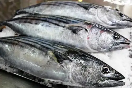 Pescados. Foto: ANDINA/Difusión