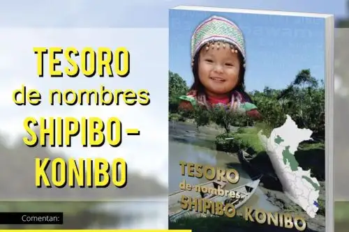 nscribir sus nombres originarios en su Documento Nacional de Identidad (DNI) y otros documentos es ahora posible para más de 35,000 peruanos de la etnia amazónica shipibo-konibo, gracias al listado de nombres que consigna el Registro Nacional de Identificación y Estado Civil (Reniec).