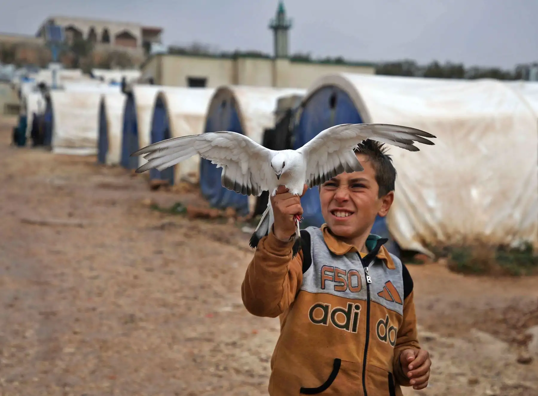 Un niño sirio desplazado agarra una paloma en el campamento de Qah a lo largo de la frontera turca en la provincia noroccidental de Idlib. AFP