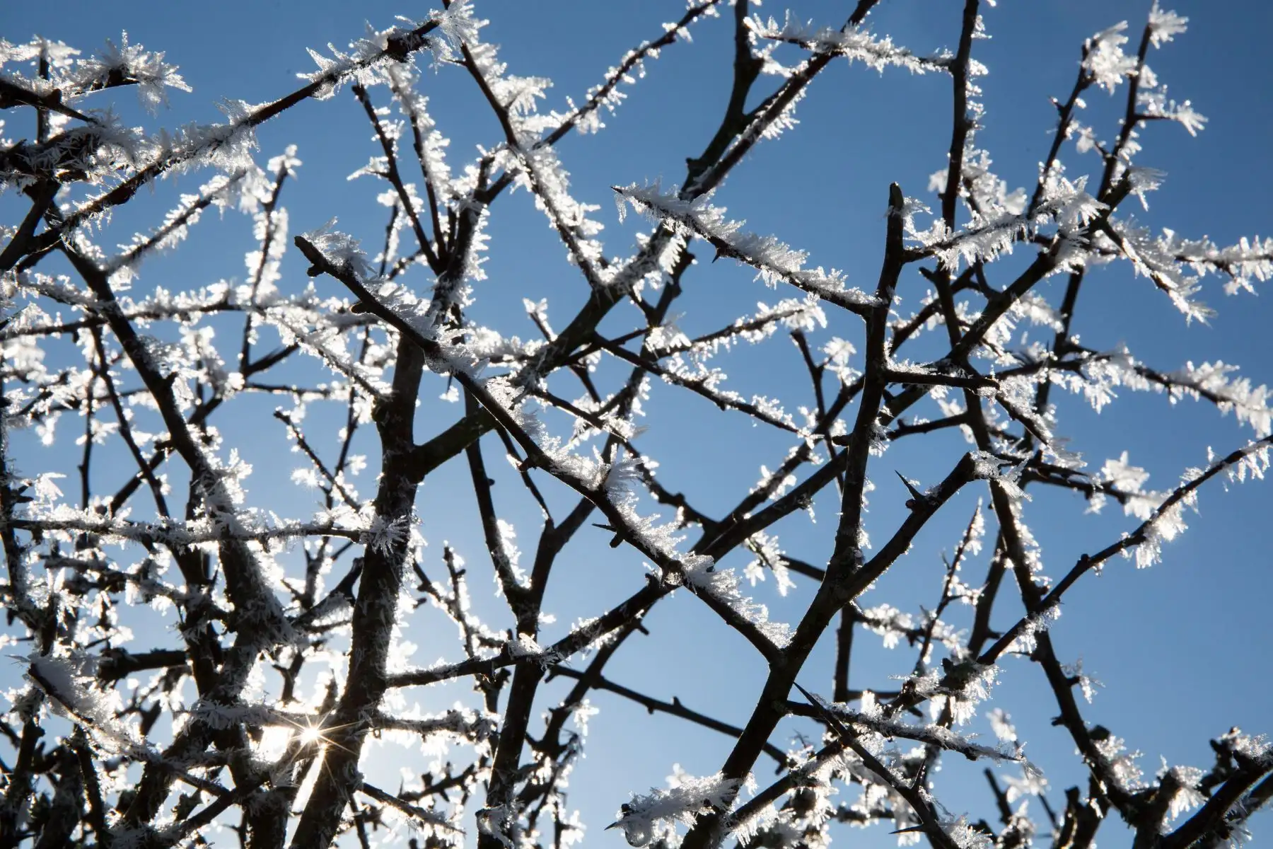 La nieve cubre la villa de Ayrshira en Escocia, Reino Unido, este jueves, durante una jornada de bajas temperaturas y cielos despejados. EFE