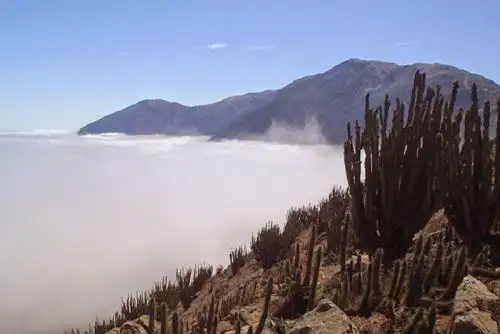 Por las intensas lluvias incrementó el nivel del río Callazas, en la región Tacna, ingresando en alerta roja. El Servicio Nacional de Meteorología e Hidrología (Senamhi) prevé está condición hasta el 2 de febrero, pudiendo afectar por desborde las zonas altas de la cuenca de Locumba; por ello, el Instituto Nacional de Defensa Civil (Indeci) recomienda medidas de protección y preparación.