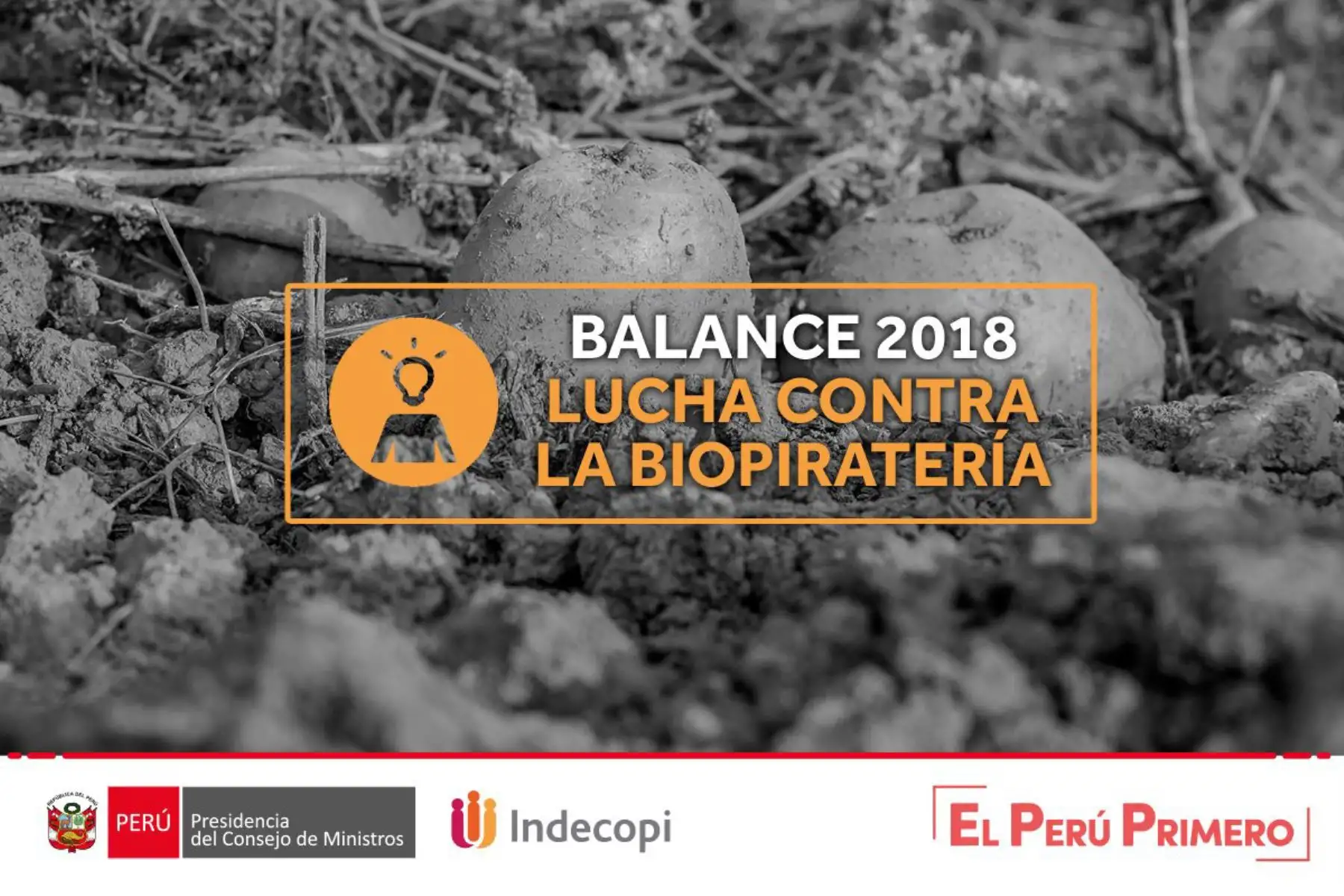 La Comisión Nacional contra la Biopiratería (CNB), presidida por el Instituto Nacional de Defensa de la Competencia y de la Protección de la Propiedad Intelectual (Indecopi), ganó durante 2018, a nivel mundial, 45 casos de biopiratería por uso indebido de conocimientos tradicionales vinculados con recursos biológicos peruanos.