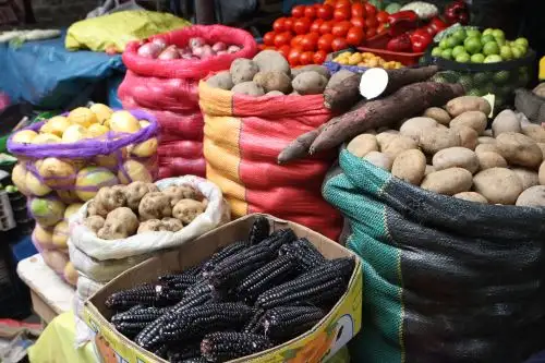 Foto: ANDINA/Héctor Vinces.