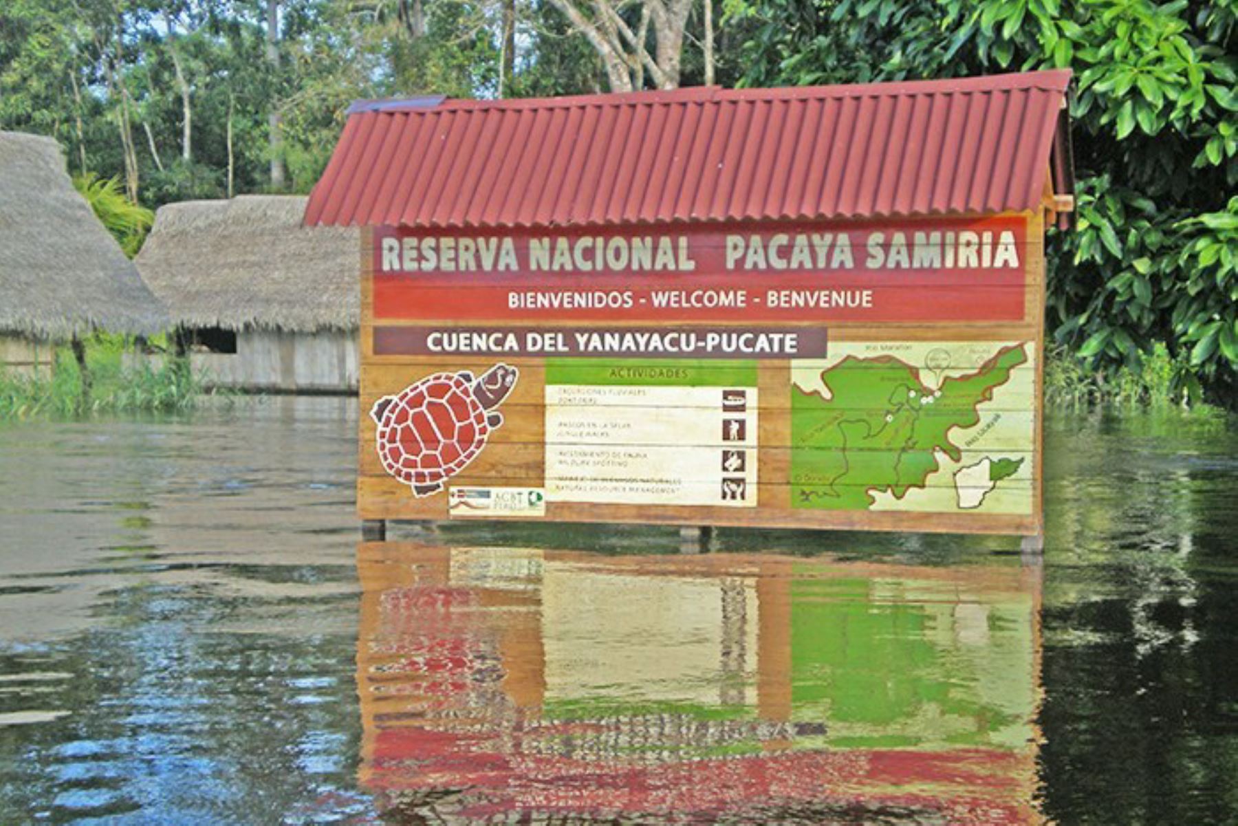 El Ejecutivo declaró de interés nacional la “Iniciativa de Sostenibilidad Financiera de las Áreas Naturales Protegidas” del Sistema Nacional de Áreas Naturales Protegidas por el Estado (Sinanpe), denominada “Asegurando el Futuro de las Áreas Naturales Protegidas del Perú. Parques Nacionales: Patrimonio del Perú”. ANDINA/Difusión