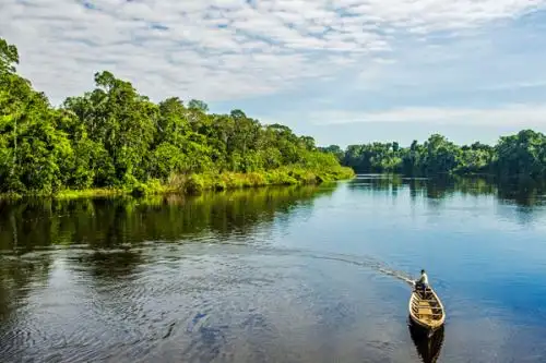 La Reserva Nacional Pacaya Samiria, ubicada en la región Loreto, es una de las 76 áreas naturales protegidas por el Estado en el Perú, administradas por el Sernanp. ANDINA/Difusión