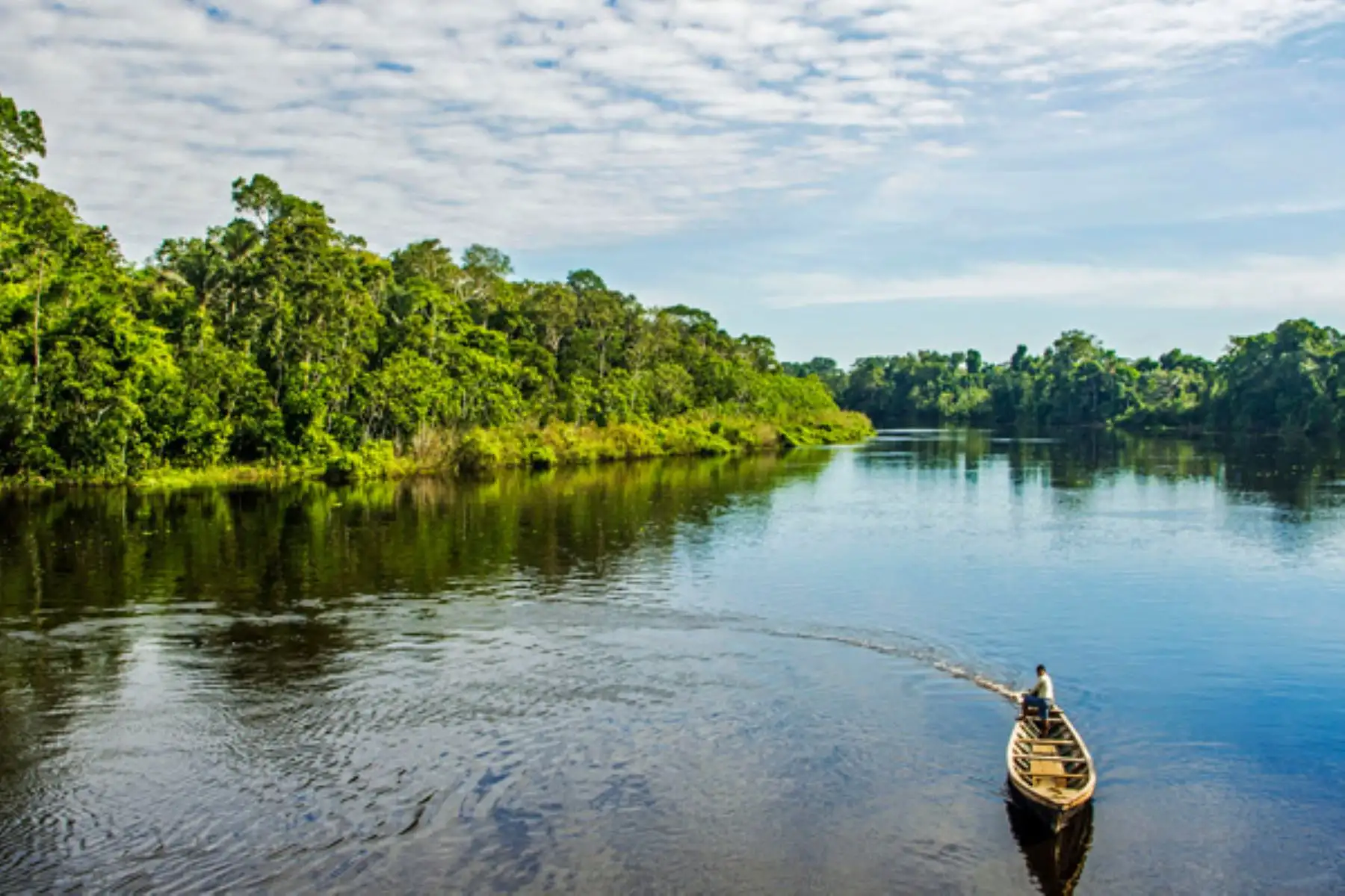 Perú, distinguido como "Mejor destino verde de Sudamérica" en los World Travel Awards 2020, posee destinos emblemáticos como las áreas naturales protegidas, que destacan por sus cautivantes paisajes y enorme biodiversidad, posicionadas como lugares ideales para el ecoturismo, la observación de fauna silvestre, el turismo rural comunitario, el turismo de aventura y el turismo gastronómico, entre otras modalidades amigables con la conservación ambiental. ANDINA/Difusión