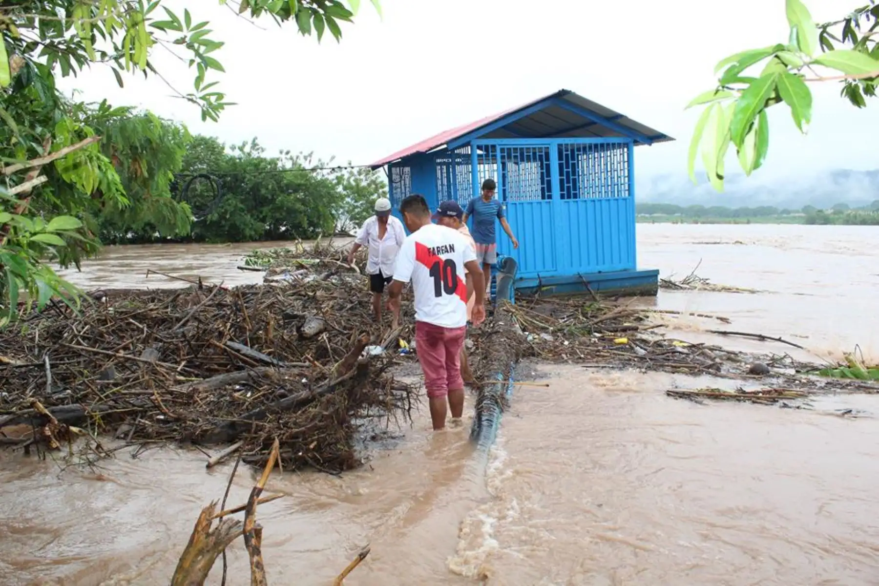 Desborde del río Huallaga se llevó pertenencias de 15 familias en región San Martín. ANDINA