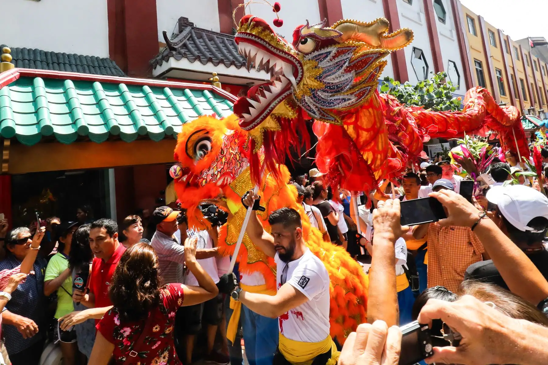 Año Nuevo Lunar 2019: Celebraciones por el año nuevo chino en la calle Capón, año del Cerdo

Foto: ANDINA/Juan Carlos Guzmán Negrini.