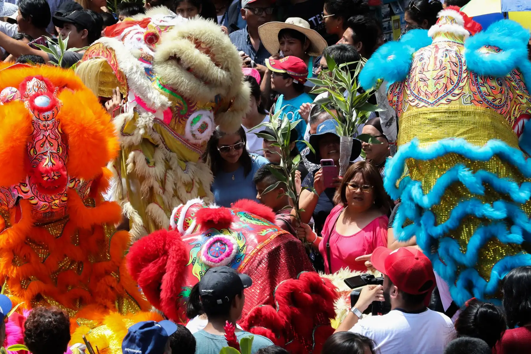 Año Nuevo Lunar 2019: Celebraciones por el año nuevo chino en la calle Capón, año del Cerdo

Foto: ANDINA/Juan Carlos Guzmán Negrini.