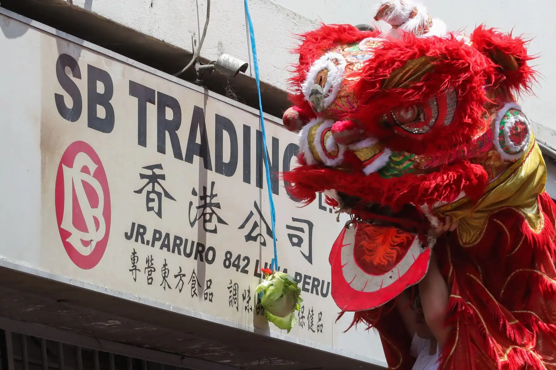 Año Nuevo Lunar 2019: Celebraciones por el año nuevo chino en la calle Capón, año del Cerdo

Foto: ANDINA/Juan Carlos Guzmán Negrini.