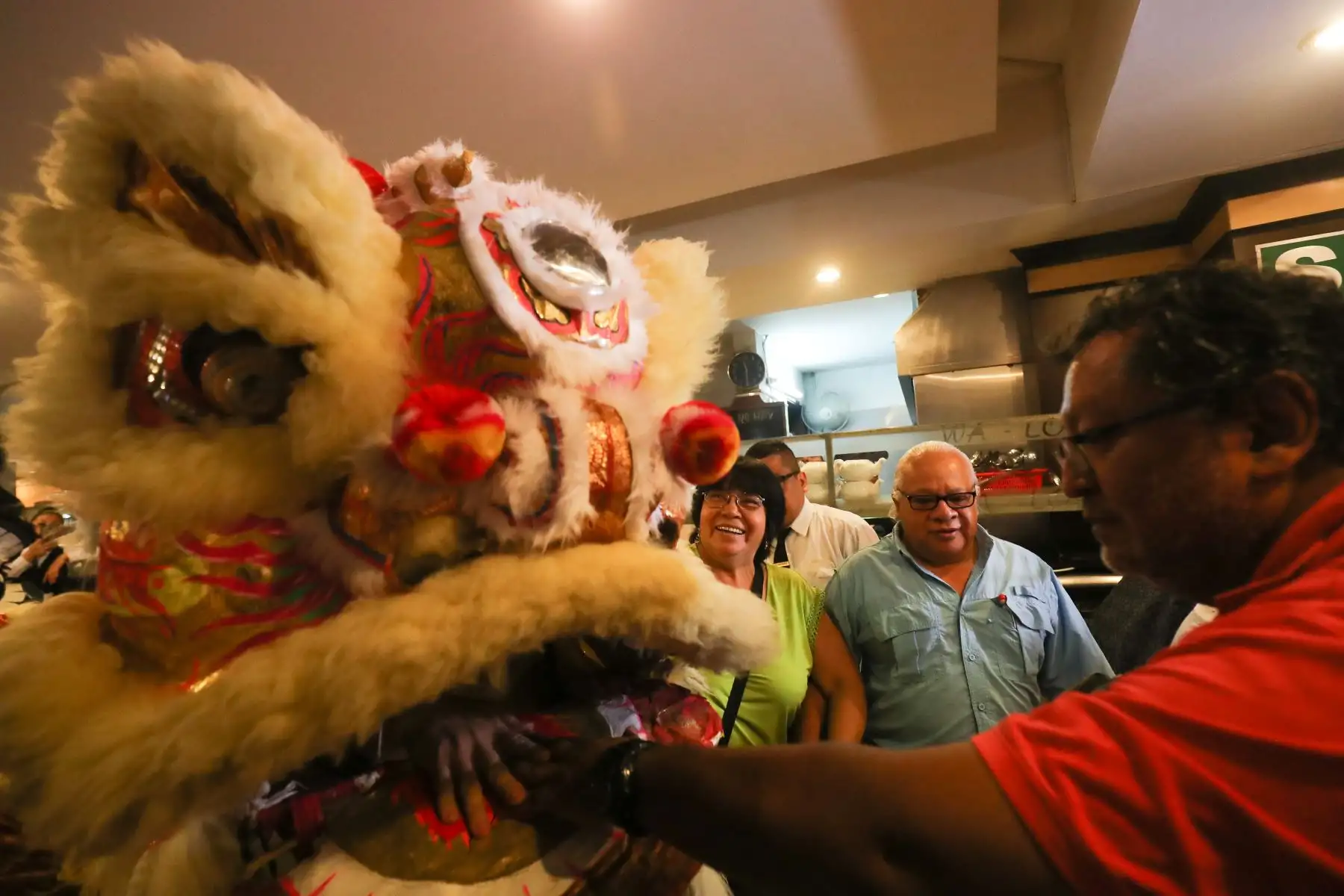 Año Nuevo Lunar 2019: Celebraciones por el año nuevo chino en la calle Capón, año del Cerdo

Foto: ANDINA/Juan Carlos Guzmán Negrini.