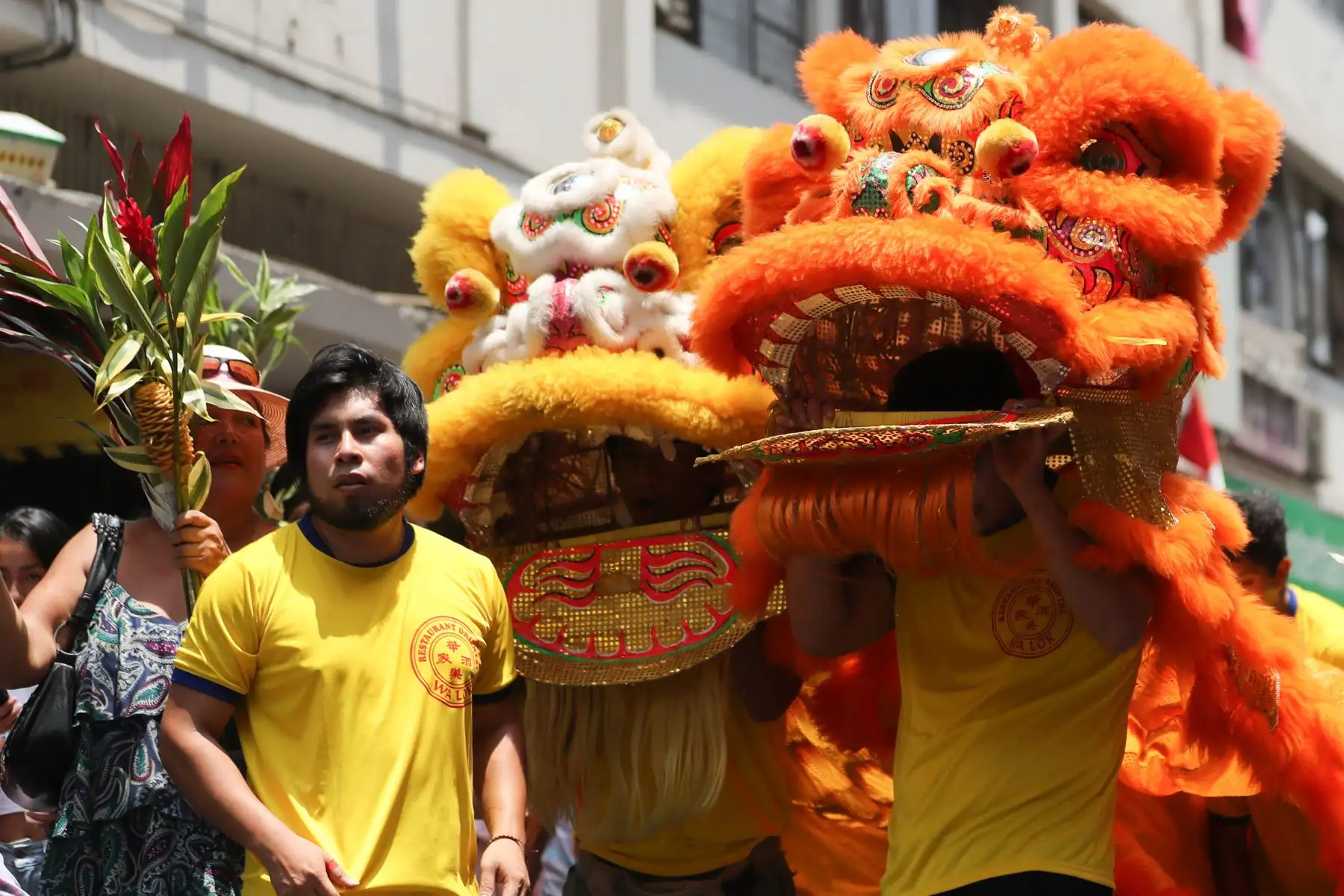 Año Nuevo Lunar 2019: Celebraciones por el año nuevo chino en la calle Capón, año del Cerdo

Foto: ANDINA/Juan Carlos Guzmán Negrini.