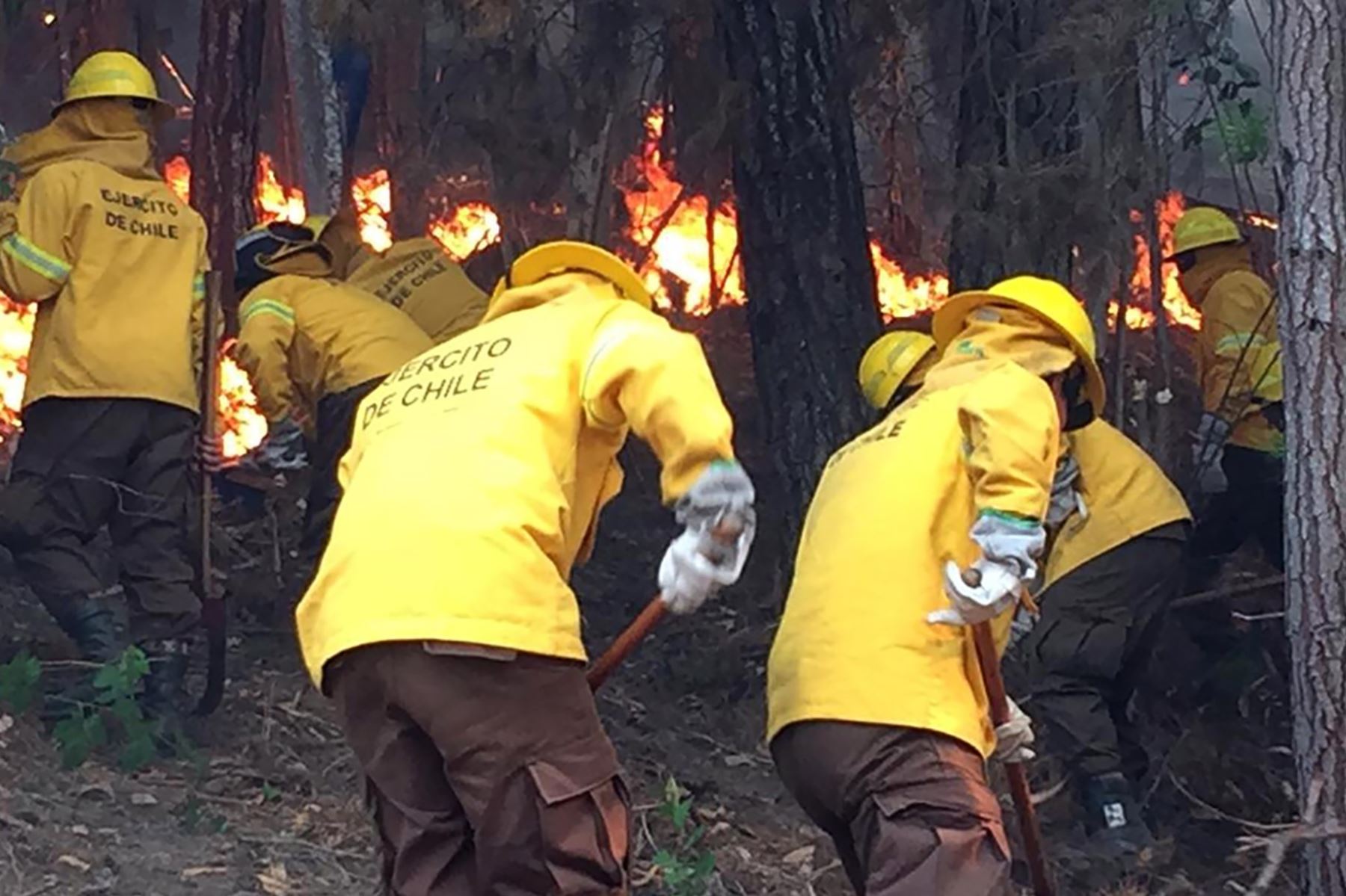 Soldados combatiendo incendios forestales alrededor de Carahue en la Región de la Araucanía Foto: EFE