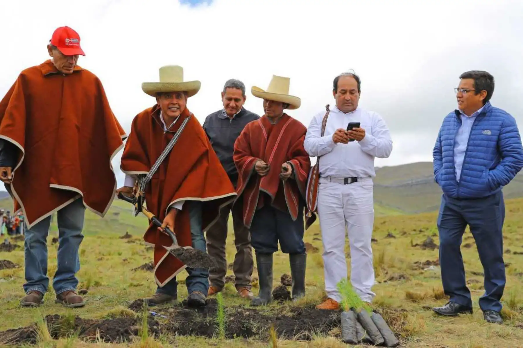 El Ministerio de Agricultura y Riego (Minagri) a través del programa Agro Rural, inició un vasto plan de reforestación en Cajamarca, para lo cual se promoverán convenios y alianzas que permitan contar con el apoyo de gobiernos regionales, locales y empresas para alcanzar la meta de un millón de árboles en esa región.