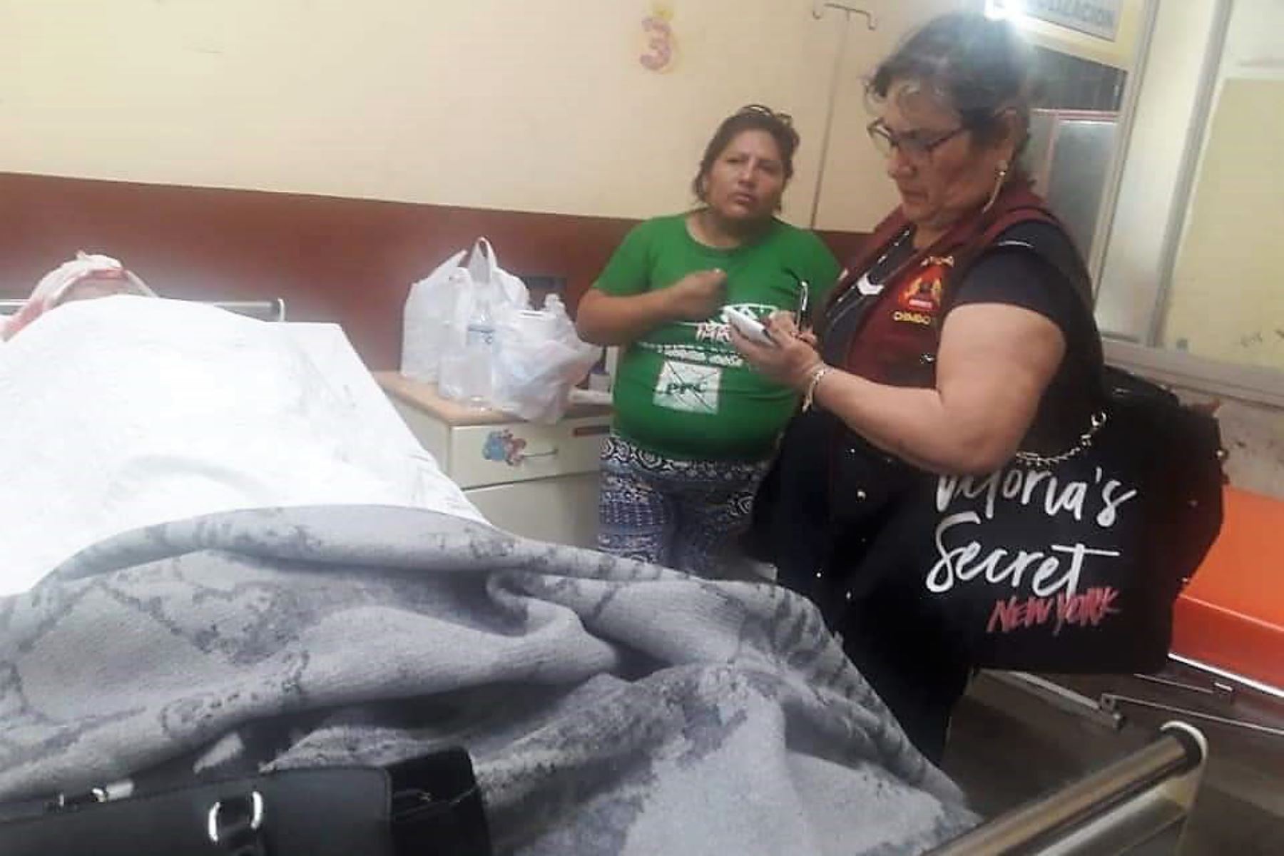 Niño atacado por perro pitbull se encuentra grave y está internado en Hospital La Caleta. ANDINA