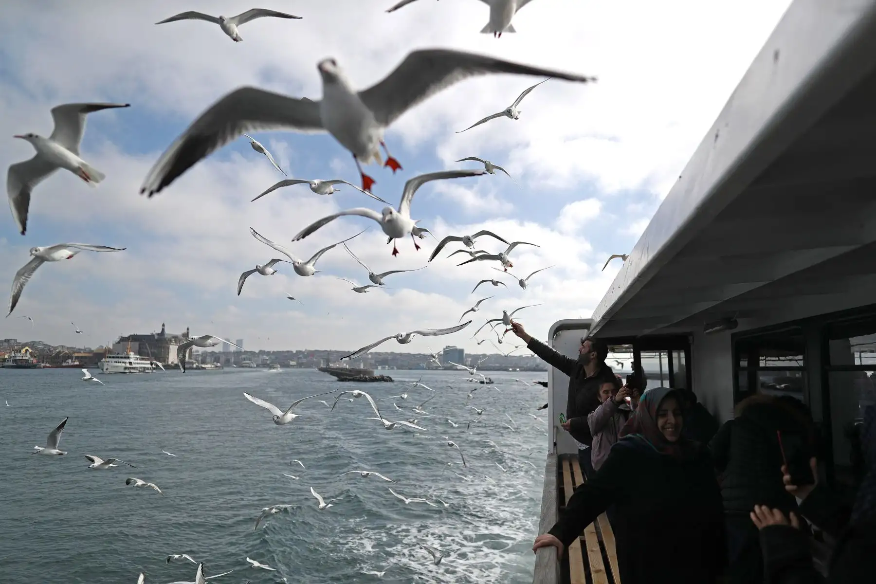 Gaviotas sobrevuelan el Bósforo, este martes, durante un dÌa soleado en Estambul (TurquÌa). EFE