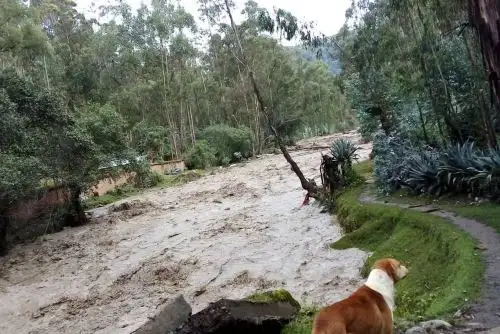Lluvias se registrarán en la Selva desde mañana hasta el jueves, y estarán acompañadas de descargas eléctricas y ráfagas de viento superiores a 45 kilómetros por hora.
