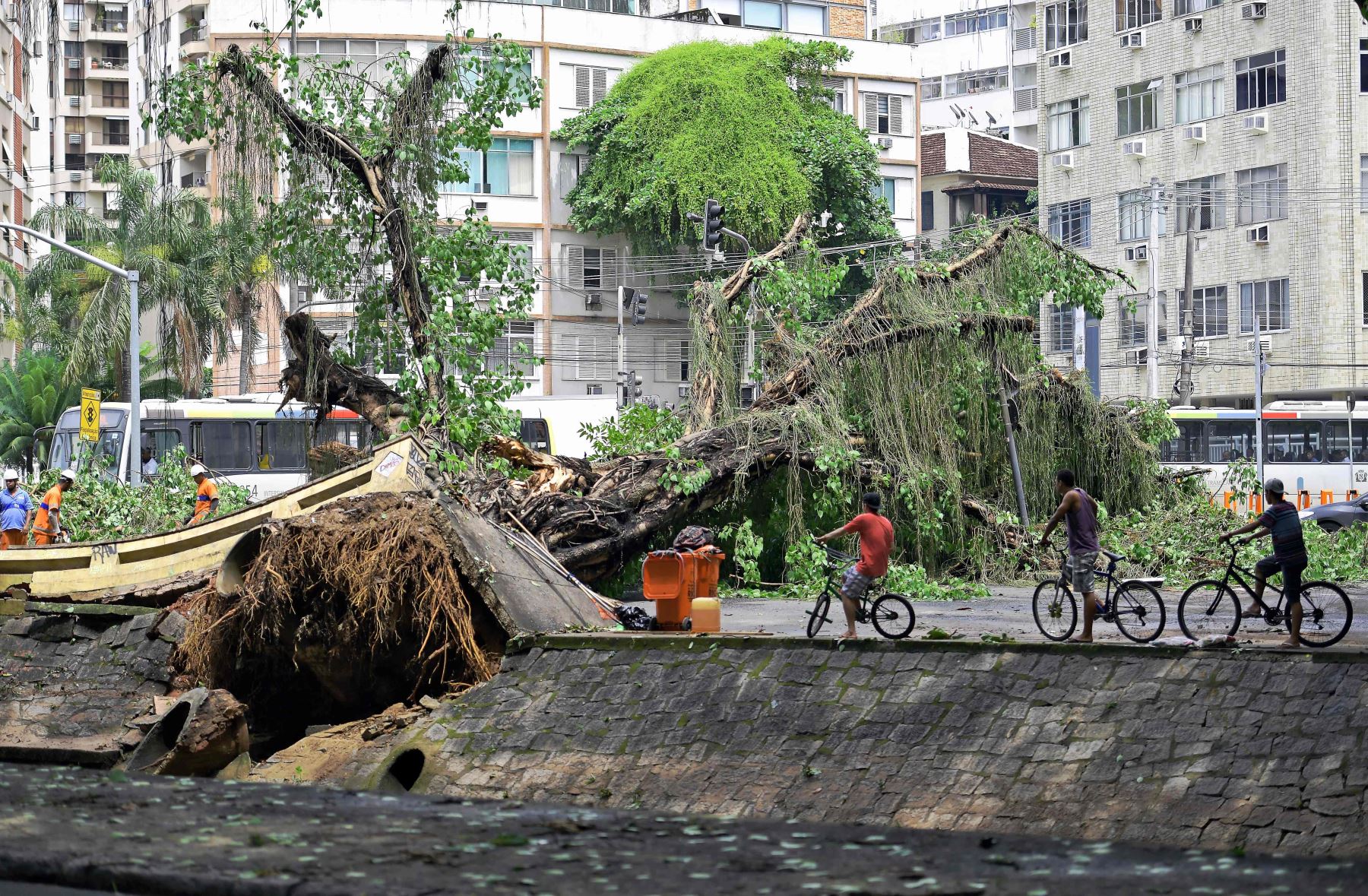 Los ciclistas observan un árbol caído que arrancó parte de un canal después de una tormenta en Gavea, Río de Janeiro Foto: AFP
