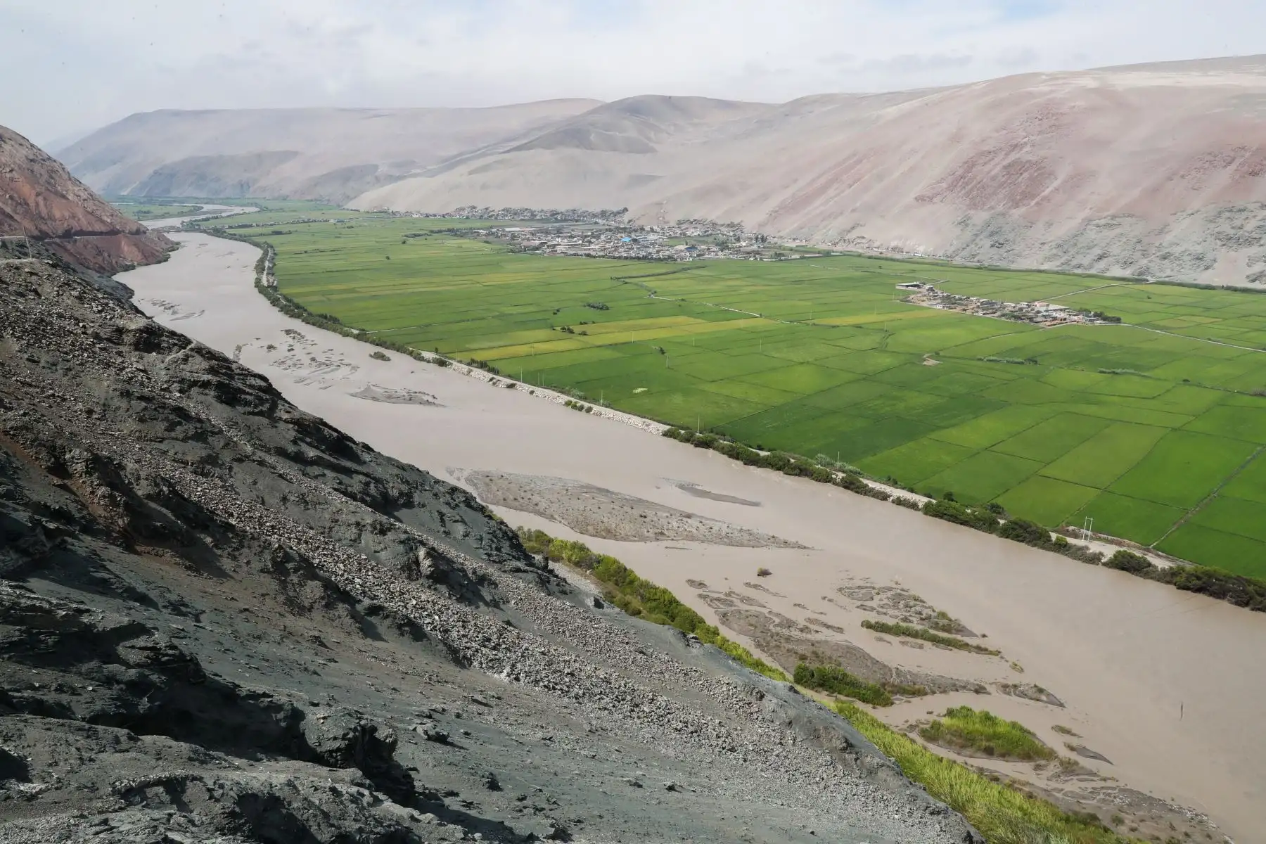 El aumento del caudal y desborde del río Ocoña afectó casi una hectárea de cultivos de arroz, en el sector Huarangal, informaron las autoridades del distrito de Ocoña, en la provincia arequipeña de Camaná. Foto: ANDINA/Juan Carlos Guzmán.
