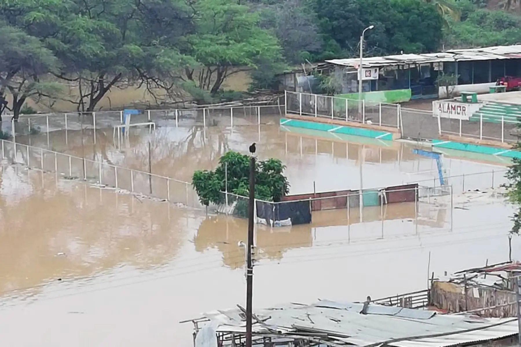 Desborde de río El Alamor deja 30 familias damnificadas en Sullana, Piura, ANDINA