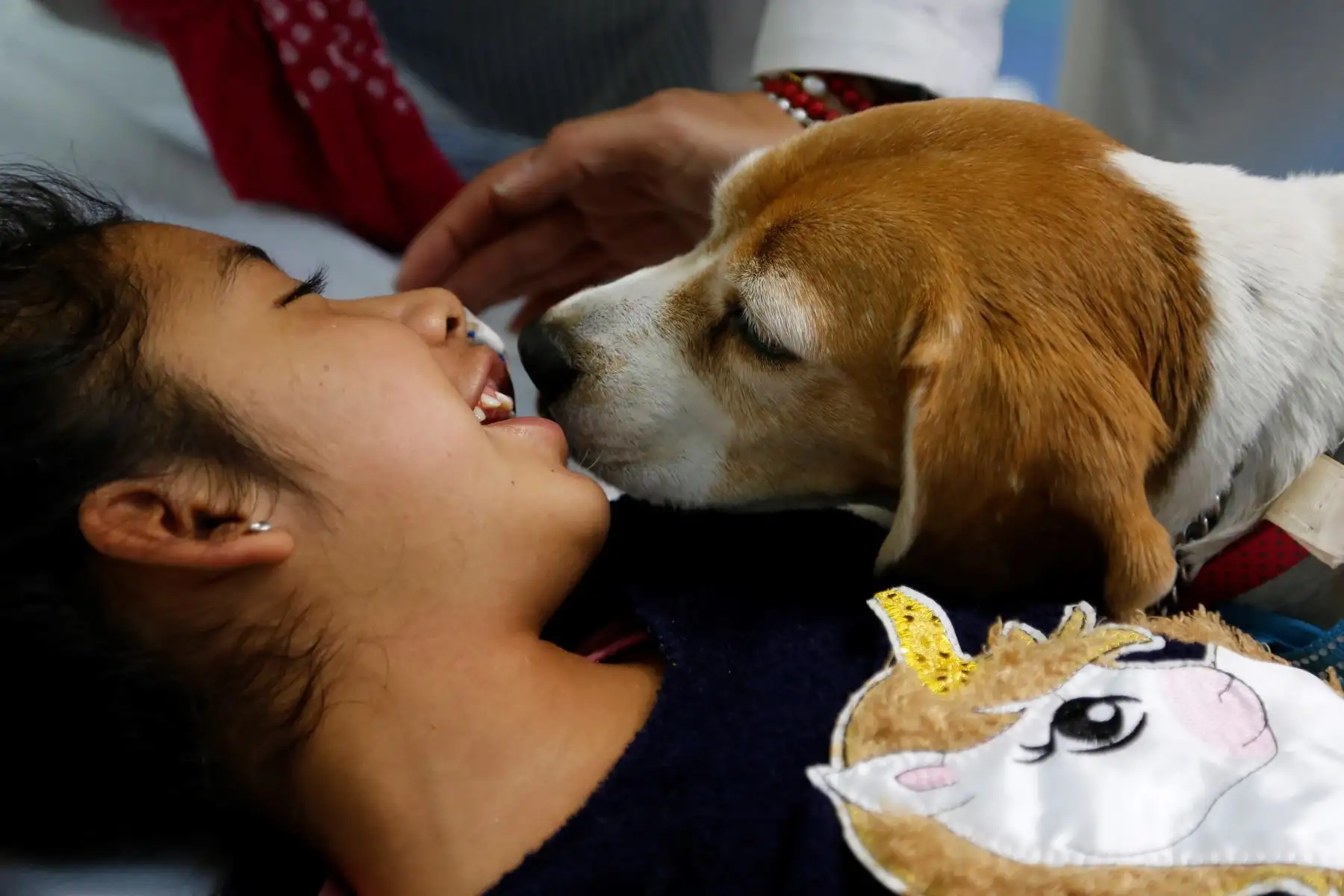 Un perro interactua con una paciente durante su consulta en el ·rea de Cuidados Paleativos del Hospital Civil de Guadalajara este martes, en Guadalajara (México). Con perros adiestrados, juegos y un espacio colorido, los niños con enfermedades incurables reciben ayuda para reducir su dolor y mejorar su rehabilitación física en un hospital público en Guadalajara. Foto: EFE