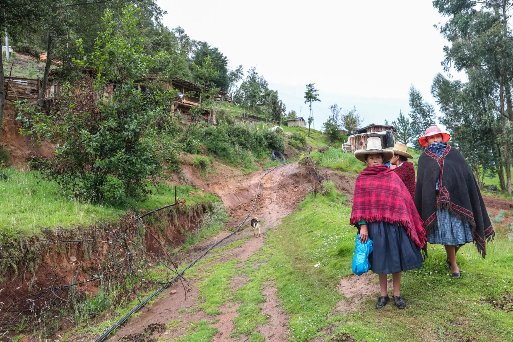 El ministro Francisco Ísmodes llegó a Cajamarca donde presidió la instalación del #COERCajamarca y supervisó las zonas de riesgo en prevención por el inicio de la temporada de lluvias en coordinación con autoridades regionales. #EstamosJuntosEnEsto. Foto: ANDINA/Difusión MEM