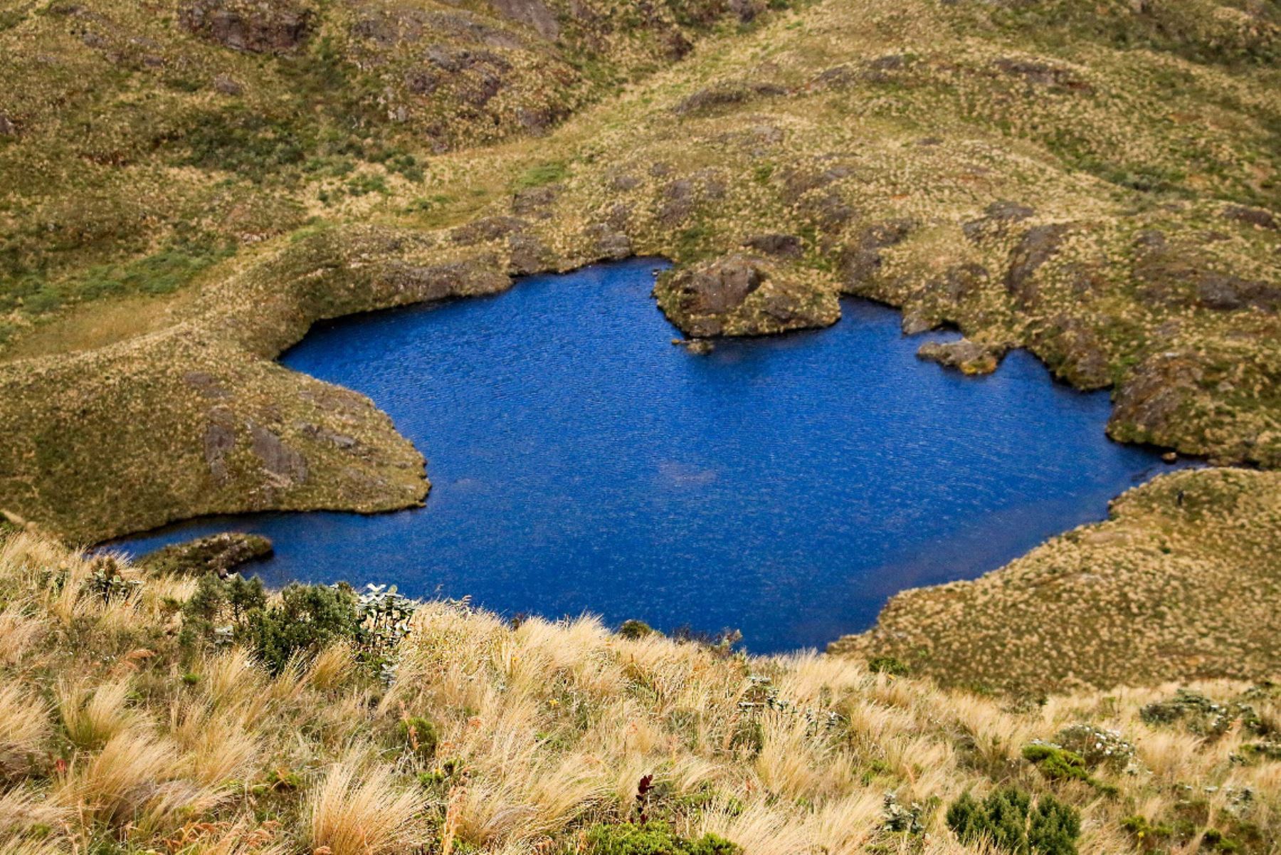 Laguna La Reina es uno de los atractivos del ACP Páramos y Bosques Montanos, Paraíso de la Comunidad Campesina San Felipe, en la región Cajamarca.