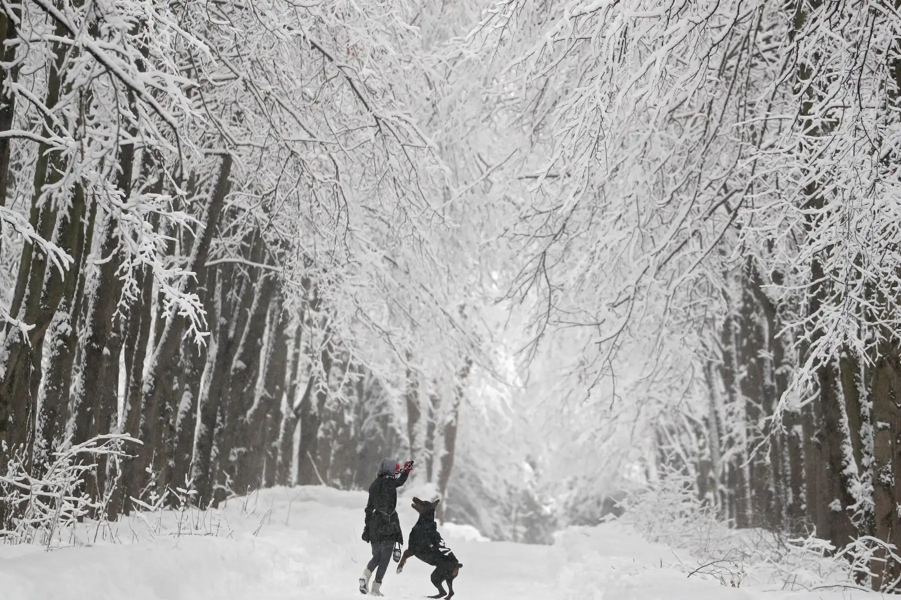 Una mujer juega con su perro en un parque cubierto de nieve en Moscú, Rusia. EFE
