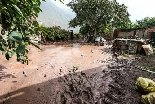 Un total de 213 distritos situados en la sierra (180) y selva (33) del país presentan un riesgo muy alto de la ocurrencia de huaicos, deslizamientos o movimientos de masa ante el inicio de lluvias para ambas regiones anunciadas por el Senamhi, estimó el Centro Nacional de Estimación, Prevención y Reducción del Riesgo de Desastres (Cenepred). ANDINA/Difusión