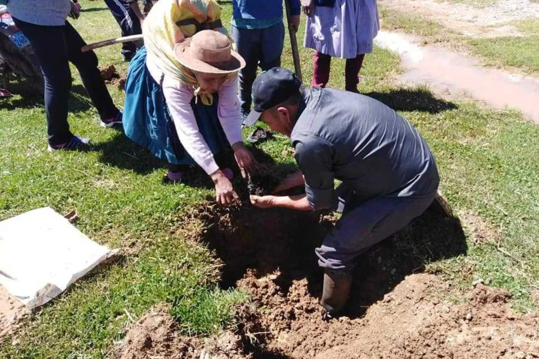 Un total de 18,000 plantones de pino radiata fueron instalados en los distritos de Ahuac y San Juan de Iscos (Chupaca), así como en Pariahuanca (Huancayo), a fin de contribuir con la reforestación de esta zona.