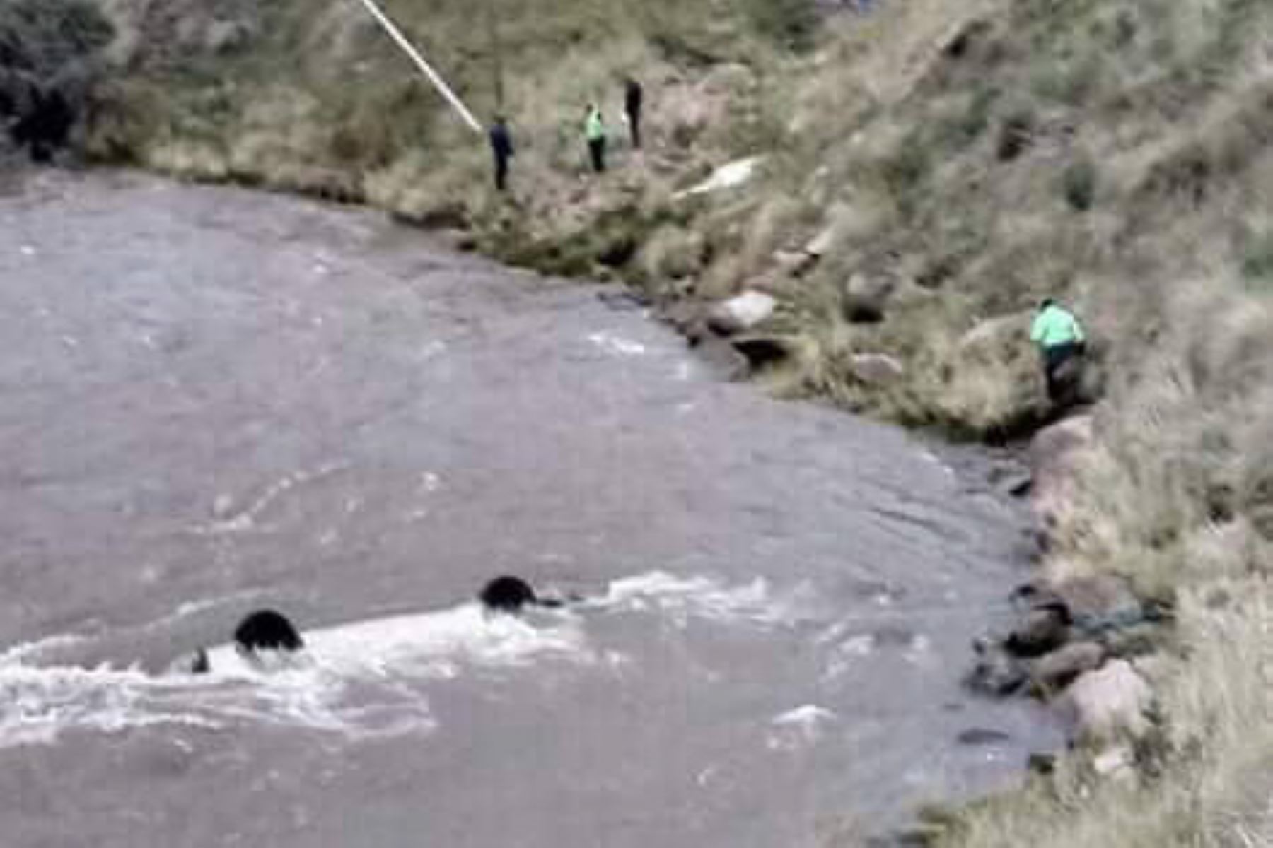 ANDINAMiniván cae a río y deja dos muertos, 10 desaparecidos y un sobreviviente en Cusco. ANDINA