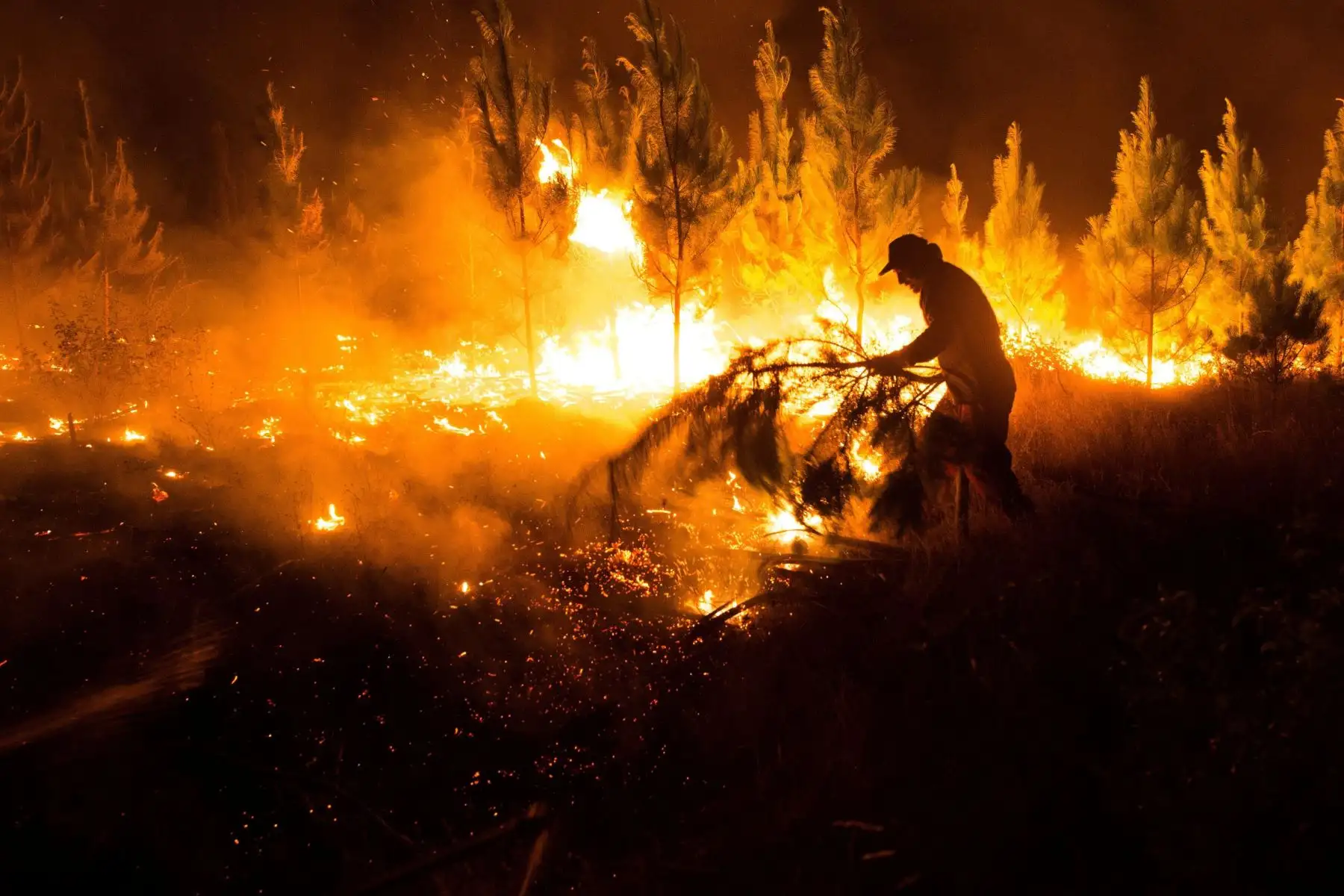 Bomberos trabajan para extinguir un incendio en la madrugada de este viernes, en la comuna de Nacimiento, en la región del BÌobio (Chile). Un total de 31 incendios forestales se mantienen activos en diversas regiones del centro y sur de Chile este viernes, mientras otros 50 están bajo control y cuatro fueron declarados extinguidos, para un total de 85, informaron las autoridades. EFE